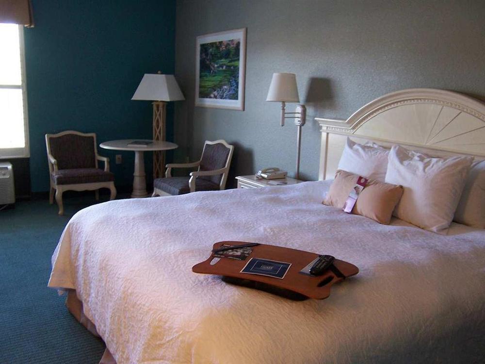 햄튼 인 세인트 시몬스 아일랜드 St. Simons Island 객실 사진